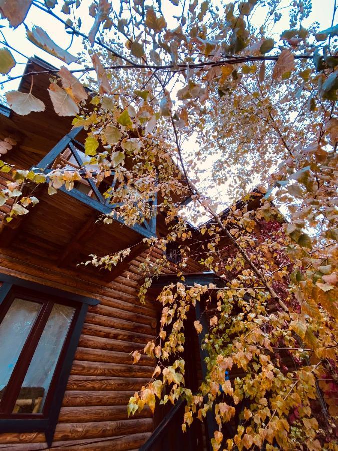 Nebesa Guest House Chimgan Exterior foto